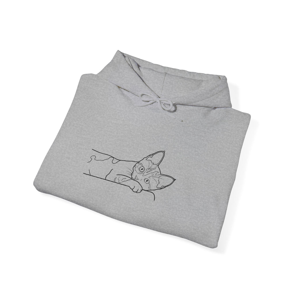 Purrfectly Chill – Custom Embroidered Cat Hoodie (Unisex Comfort Fit)