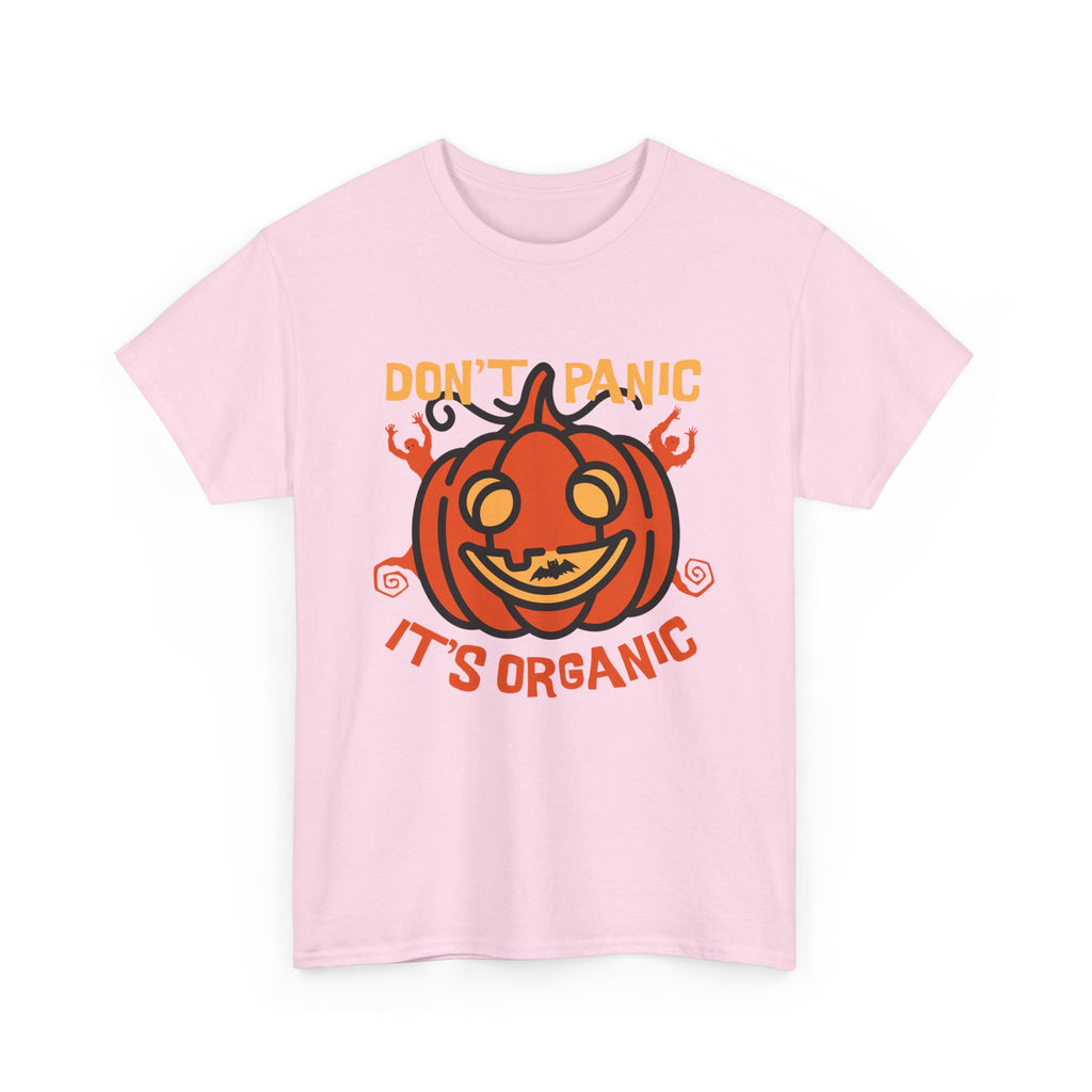Organic Pumpkin Vibes T-Shirt