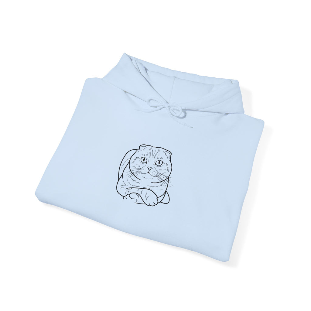 Purrfectly Chill: Custom Embroidered Catnap Hoodie