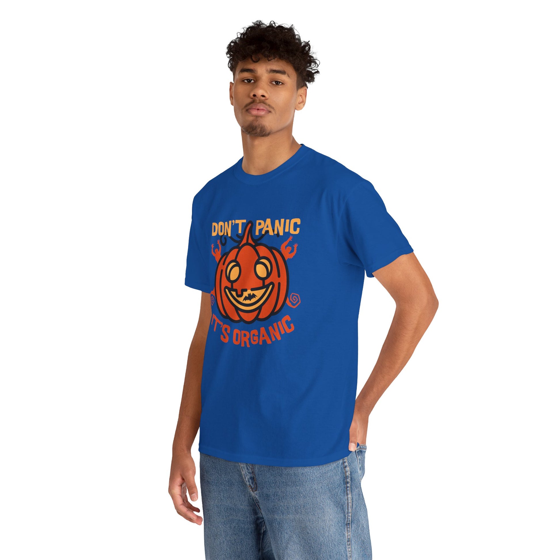 Organic Pumpkin Vibes T-Shirt