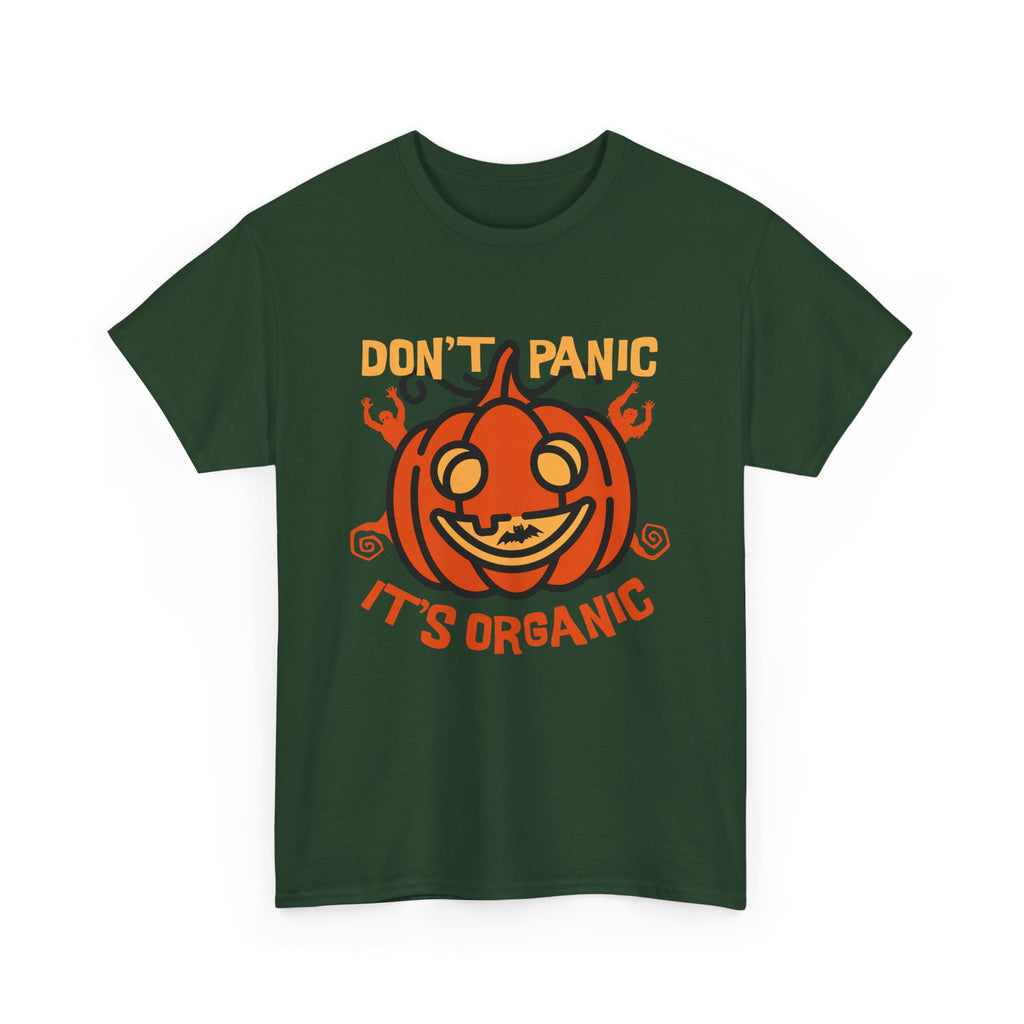 Organic Pumpkin Vibes T-Shirt
