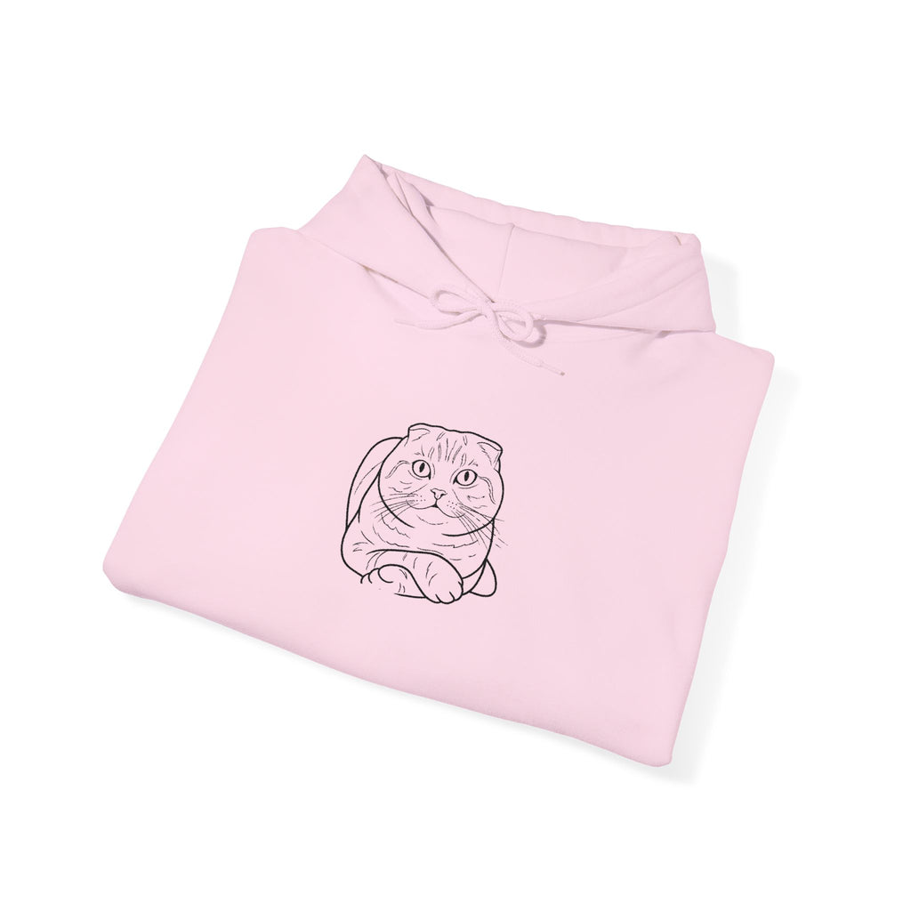 Purrfectly Chill: Custom Embroidered Catnap Hoodie