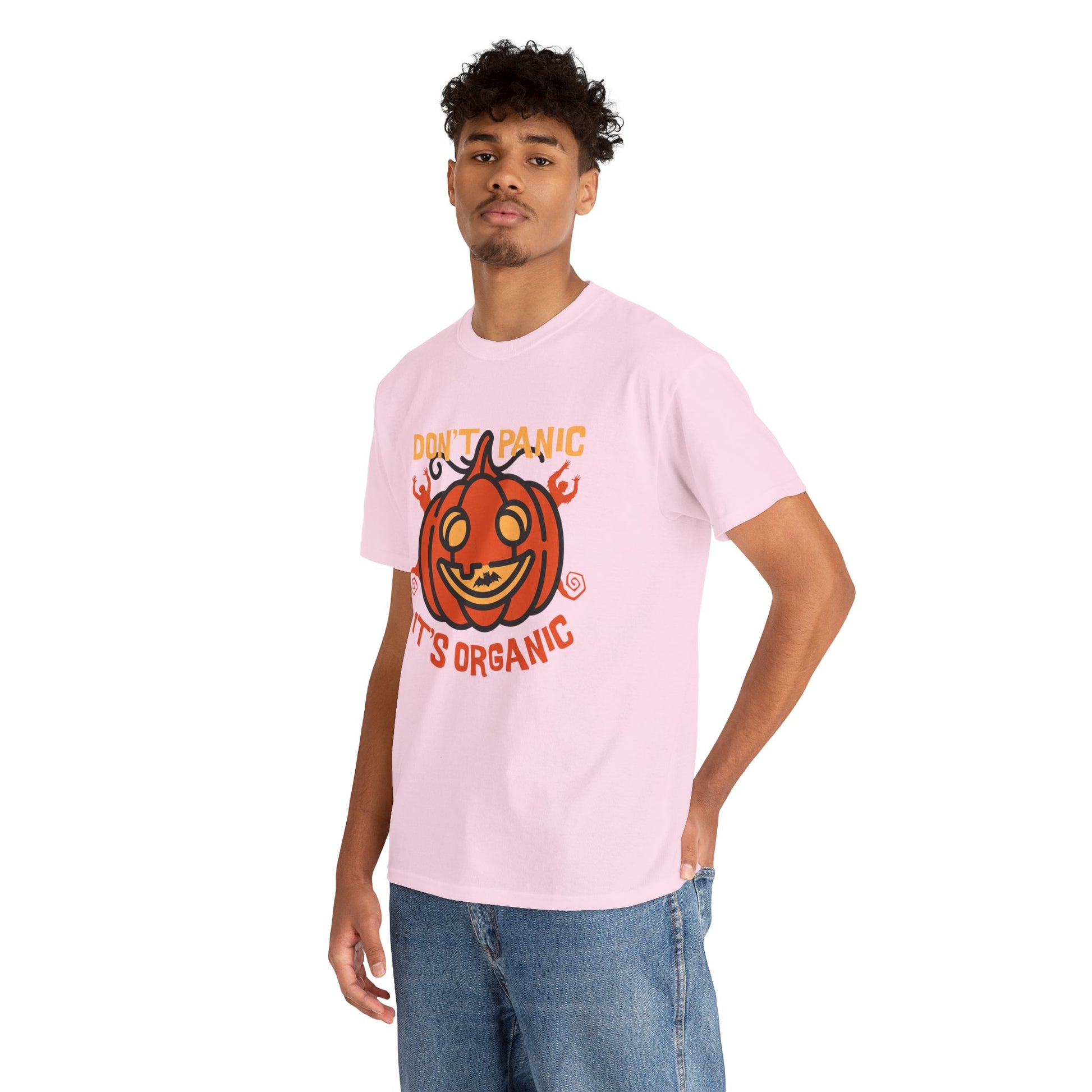 Organic Pumpkin Vibes T-Shirt